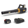 CAT DG250 18Volt 4.0Ah. Li-ion Tek Akülü Devir Ayarlı Profesyonel Yaprak Üfleme