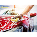 Michelin MC33542 1Litre PRO Serisi pH Nötr Oto Şampuanı - Onivias