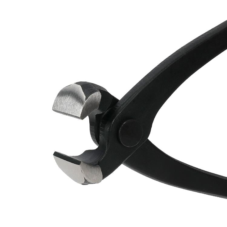 WORKPRO WP231123 250mm CR-V Profesyonel Betoncu Kerpeteni